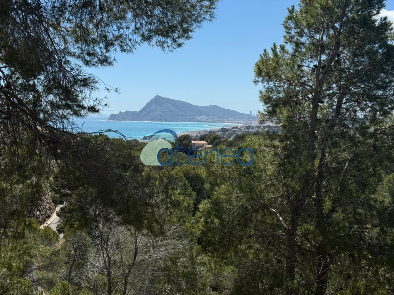 Altea, ,Parcelas,En Venta,1301
