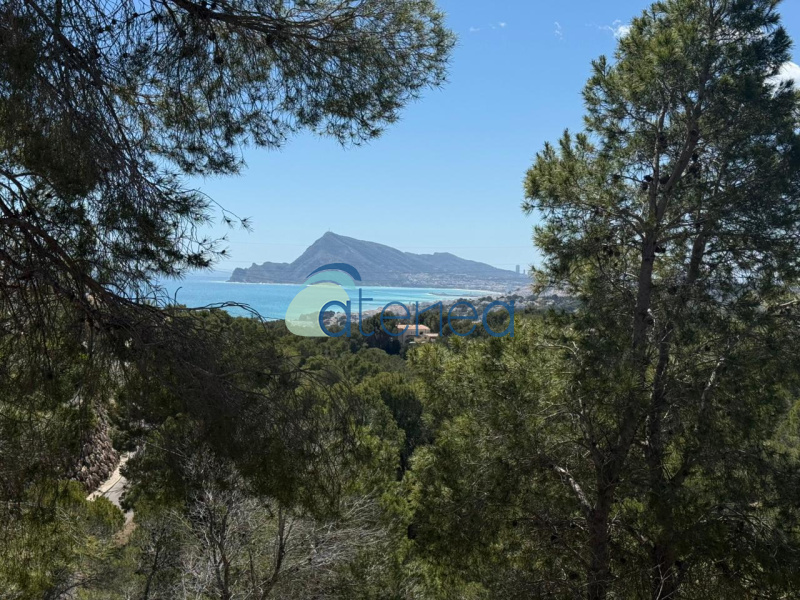 Altea, ,Parcelas,En Venta,1301